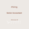 Senior Accountant (Public Practice)